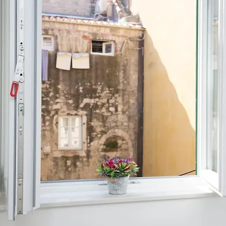 Dio Dream * 스플리트