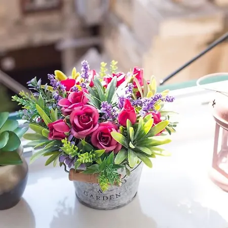 Dio Dream سبليت